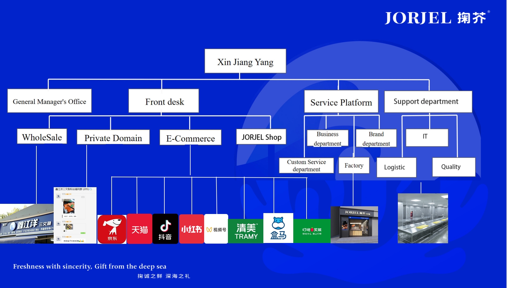 公司结构.png